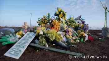 Arguments heard for delay in Humboldt Broncos lawsuits until decision made on proposed class-action