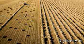 Farmers concerned criteria for federal carbon credits may leave them out