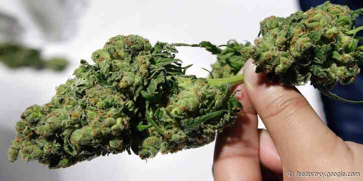 Top cannabis stock picks for 2021