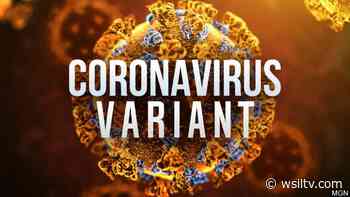 Coronavirus variant first identified in Brazil found in Illinois - WSIL TV