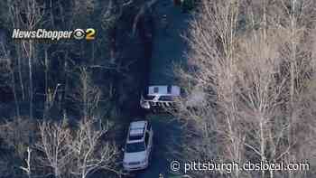 First Responders At Apparent Hillside Rescue Effort In Forward Township