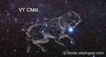 Red supergiant’s dim history unraveled by Hubble Space Telescope