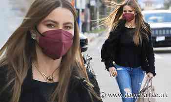 Sofia Vergara steps out to celebrate winning legal victory in battle with ex over frozen embryos - Daily Mail