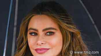 Sofia Vergara's Ex Can't Use Embryos Without Her Consent, Court Rules - TMZ