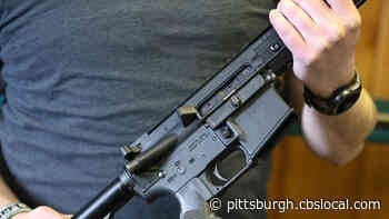 State Rep. Ed Gainey Introduces Bill To Ban Semi-Automatic Rifles