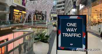 Here's what will open in Toronto next week in the Grey Zone | News - Daily Hive