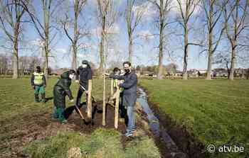 Aanplanting in Vallei Kleine Beek in Wuustwezel - ATV