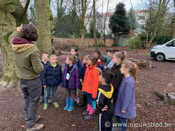 Leerlingen Mater Dei planten 130 jonge bomen aan (Wemmel) - Het Nieuwsblad