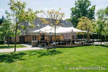 Opmerkelijke carrièreswitch: veldrijder wordt maître d'hôtel - Het Nieuwsblad