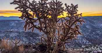 Apple finally stole my heart from the Google Pixel with this iPhone camera feature     - CNET