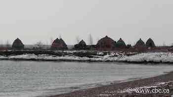 Filming at Leslie Street Spit angers local advocates who worry future shoots could harm wildlife