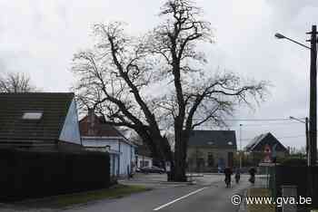 Project 'Naar de Molse Hei' zet in op betrokkenheid en verbinding in gehucht Heidehuizen - Gazet van Antwerpen