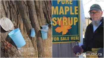 Things are getting sticky in Essex County. Here's how one farm turns maple sap into syrup