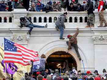 Contact found between Proud Boys member and Trump White House associate before Capitol riots, report says