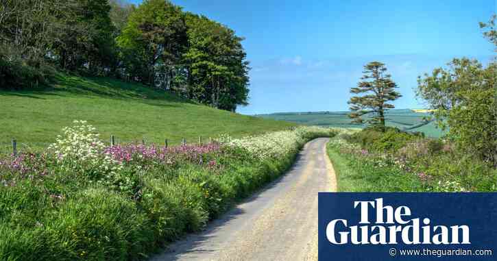 A history of the hedgerow and a love letter to weeds: the best books to celebrate spring