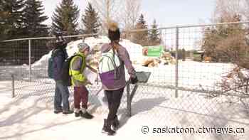 'Nothing brings me more joy': Saskatoon Forestry Farm Park & Zoo seeing steady visits despite COVID-19 pandemic