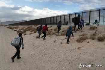 US refugee agency sees record number of migrants in February