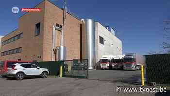 Onderzoek naar onderbetaalde werknemers in kippenslachterij te Dendermonde - TV Oost