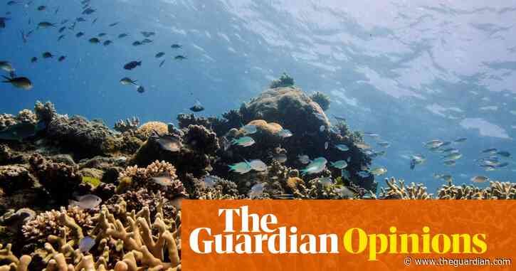 Getting to net zero isn't all pain and expense - there are huge opportunities for Australia | Warren Entsch