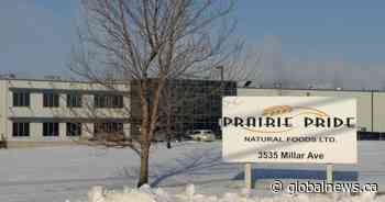 Rapid COVID-19 testing urged at Saskatoon chicken plant where outbreak declared - Global News