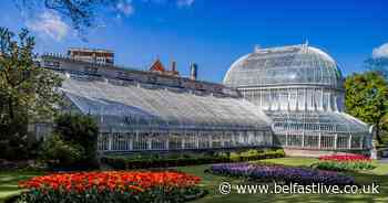 7 Belfast parks that are perfect for a Sunday stroll - Belfast Live