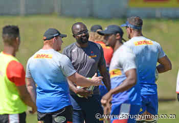 Stormers assistant coaches to be handed coaching reins - SARugbymag