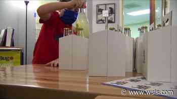 7-year-old who sells lemonade becomes youngest entrepreneur in the Gauntlet - WSLS 10