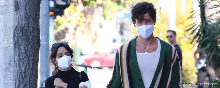 Shawn Mendes & Camila Cabello Couple Up to Do Some Grocery Shopping