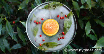 Make Ice Ornaments At Home