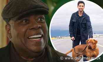 Reginald VelJohnson will reprise his role as David Sutton in Disney Plus' new Turner & Hooch series - Daily Mail
