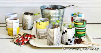 How To Grow Seedlings With Newspaper