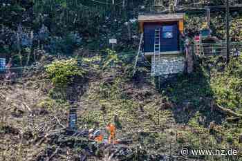 Hecken, Sträucher und Bäume: Warum und wie die Stadt Giengen in die Natur eingreift - Heidenheimer Zeitung