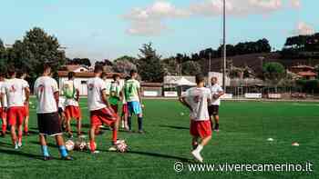 La Primavera del Matelica verso il derby con la Vis Pesaro, Liberti: "Maggiore concretezza" - Vivere Camerino