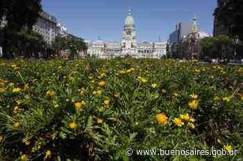 Las plazas Congreso y Mariano Moreno ya están renovadas - buenosaires.gob.ar