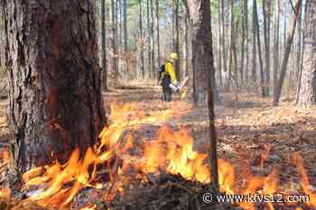 Controlled burn prescribed to Shawnee National Forest - KFVS