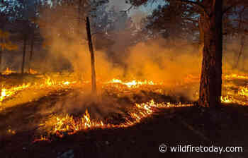 Black Hills National Forest conducts 380-acre prescribed fire - Wildfire Today