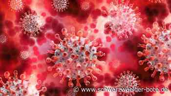 Coronavirus im Schwarzwald-Baar-Kreis: 17 neue Infektionen kommen in zwei Tagen hinzu - Schwarzwälder Bote