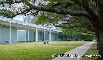 Things To Do This Weekend in Houston: March 11-14, 2021 | 365 Houston - 365 Things to Do in Houston