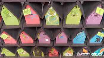 Family builds 201 birdhouses to bring cheer to Georgetown, Ont. during pandemic