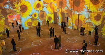 Immersive van Gogh Experiences Bloom Like Sunflowers