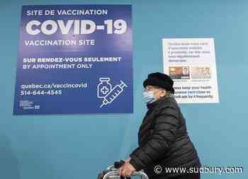 'It's been a good week': Tam hopeful on vaccines as pandemic anniversary nears