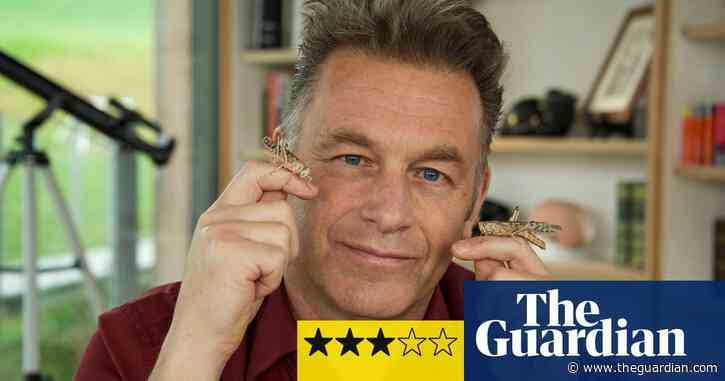 Chris Packham's Animal Einsteins review – a balm for frayed minds