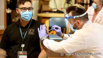 Coronavirus mutations won’t doom the vaccines. Here’s why. - Tampa Bay Times