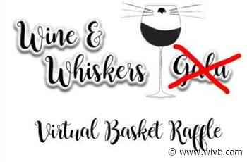 'A Purr-fect Fit' hosting virtual raffle to benefit animal rescue and adoption