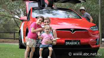 Should your next car be electric? The dilemma of the decade for motorists