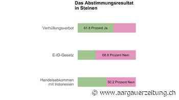 Abstimmung - Steinen sagt Ja zum Burkaverbot | Aargauer Zeitung - Aargauer Zeitung