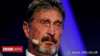 John McAfee charged with fraud over cryptocurrency