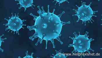Coronavirus: Hemmstoffe können Vermehrung von SARS-CoV-2 stoppen - Heilpraxisnet.de