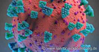 Kostenpflichtiger Inhalt: Erster Todesfall am 23. März 2020 : Ein Jahr Corona im Landkreis Neunkirchen - Saarbrücker Zeitung