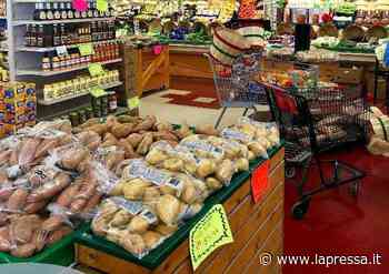 Modena zona rossa: cosa si può e non si può fare - La Pressa